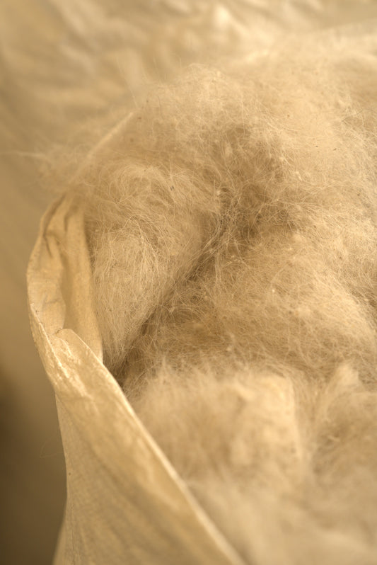 Secrets de style saisonnier : porter le cachemire toute l'année